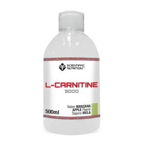 L-CARNITINE 3000