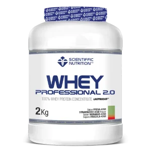 WHEY PROFESSIONAL 2.0 - 2KG